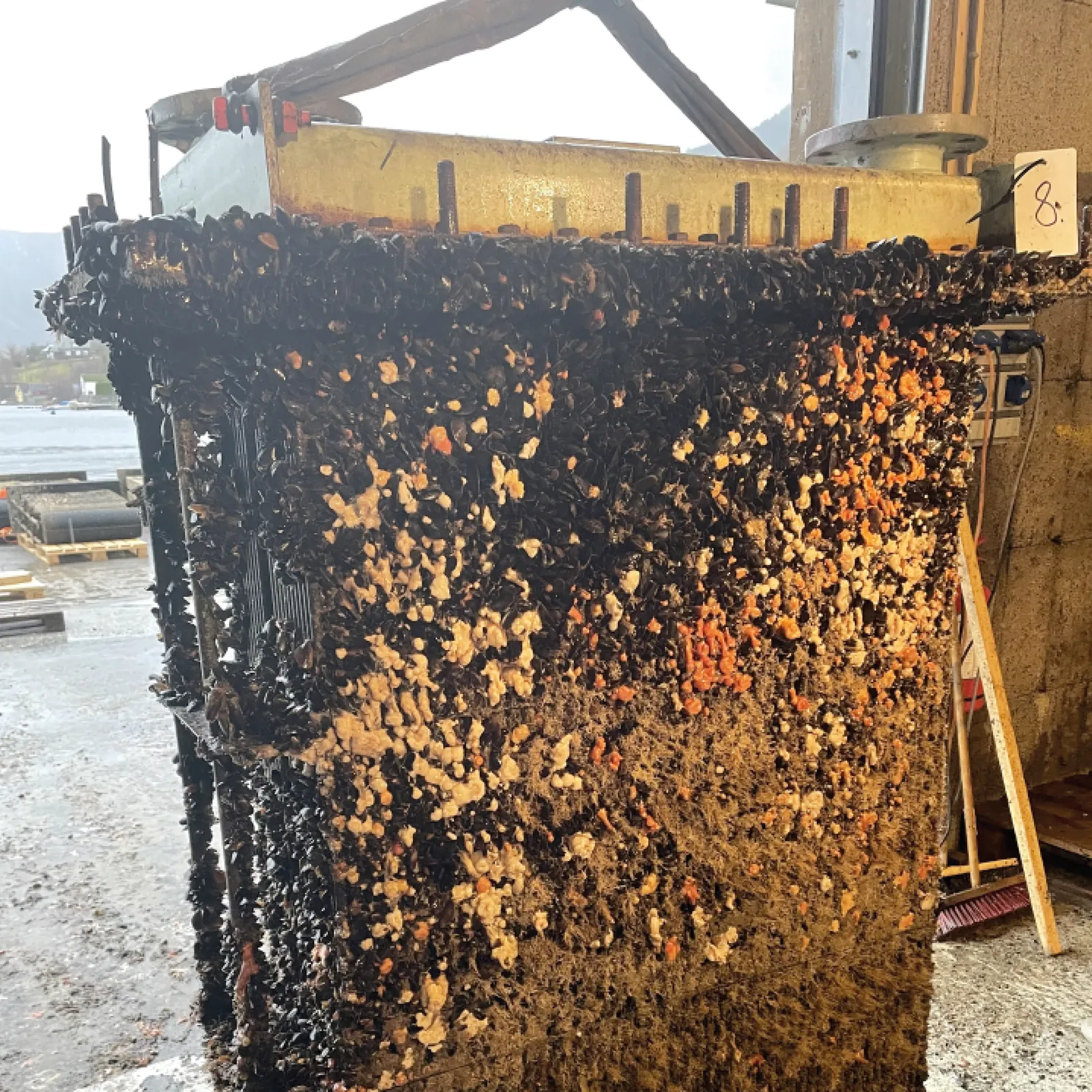 Box cooler before eco-cleaning